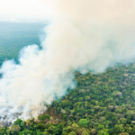A temática da internacionalização da Amazônia